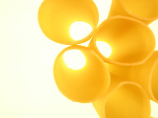 pâtes cannellonis 1