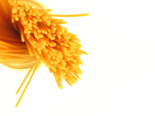 spaghettis 2