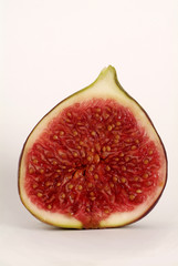 feigen_3