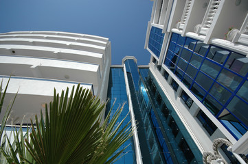 plant and hotel