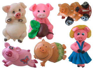 collection of isolated pigs