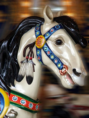 carousel horse © Katherine Haluska