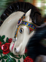 carousel horse © Katherine Haluska
