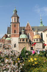 Obraz premium wawel castle, krakow, poland