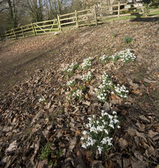 st leonards church beoley worcestershire