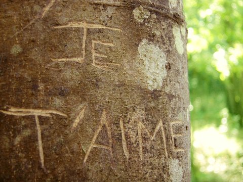 d&eacute;clarer son amour