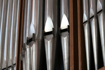 organ
