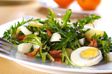 dandelion salad