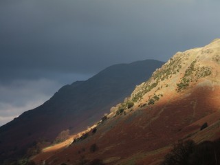 sunlit hillside