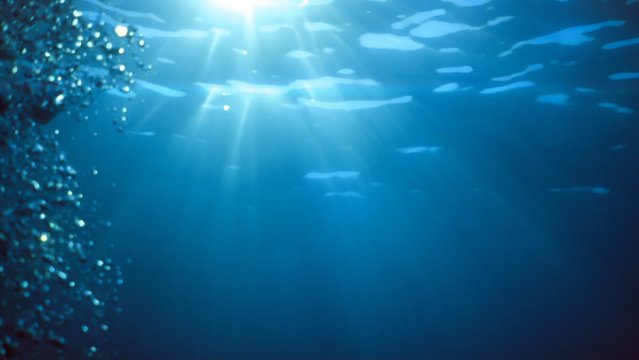 Fototapeta underwater sunlight
