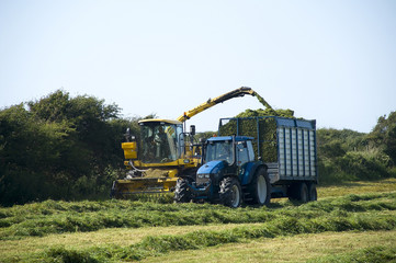 silage 2