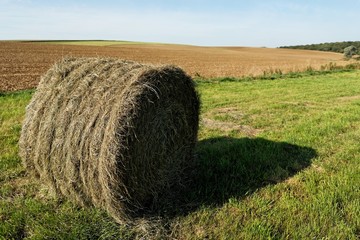 balle de paille ronde