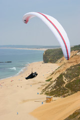 Fototapeta na wymiar paraglider on a beach