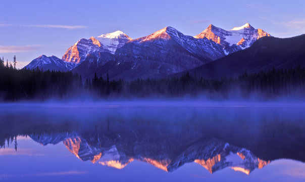 herbert lake 4