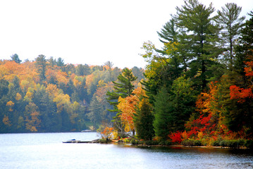 Fototapeta premium autumn lake