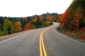 fall highway