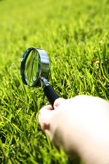 grass inspect