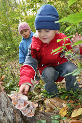 children explore shelf fungus