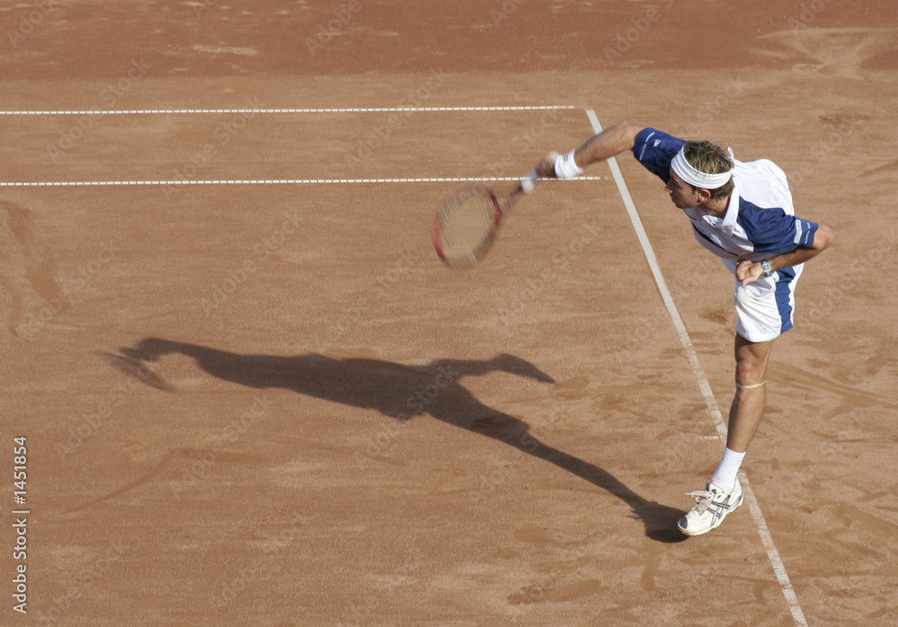 Wall mural tennisman