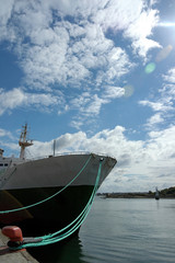 Naklejka premium proue