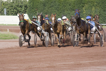 course de chevaux