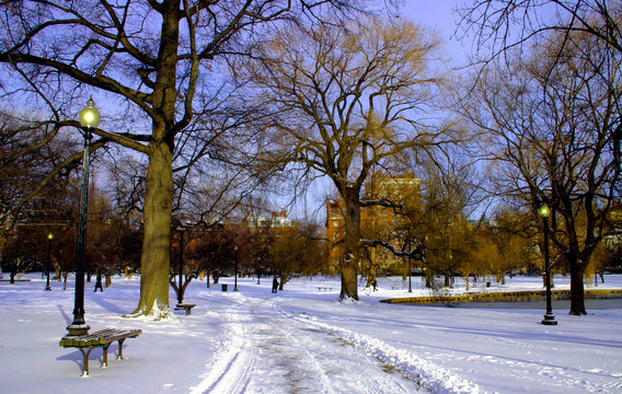 Boston Public Garden Winter