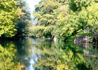 reflets sur le cours d'eau