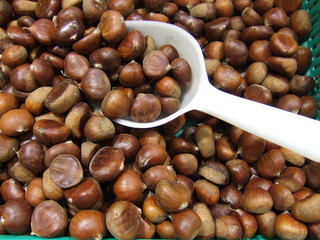 marrons,chataignes