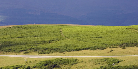 scenic landscape country countryside scenery hills
