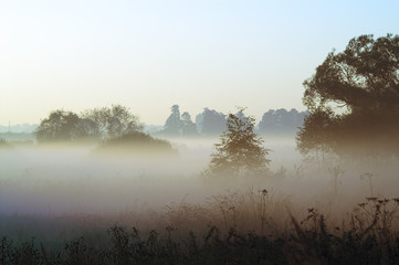 Obraz na płótnie Canvas misty morning