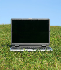 laptop on the grass
