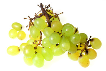 grapes #3
