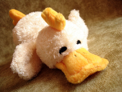 toy – the duck on a background