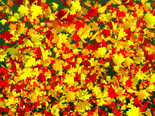 Obraz na płótnie Canvas a lot of colorful autumn leaves