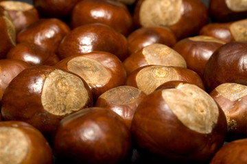 conkers