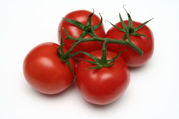 ripe tomatos, white background