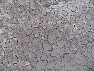 arid ground