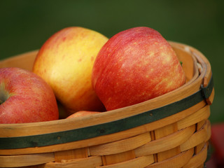 apples in basket