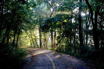 misty road