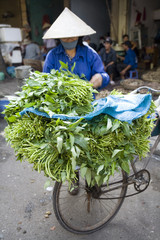 gem&uuml;severk&auml;uferin in hanoi