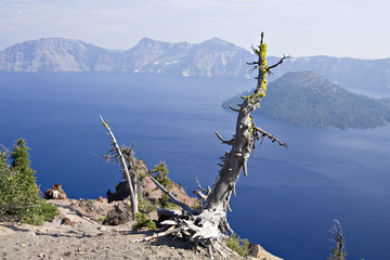 crater lake national park, oregon 1