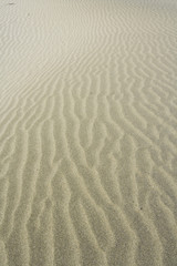 Fototapeta na wymiar sand texture 3