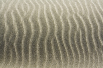 sand texture 5