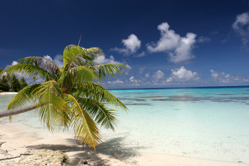 Obraz premium atoll
