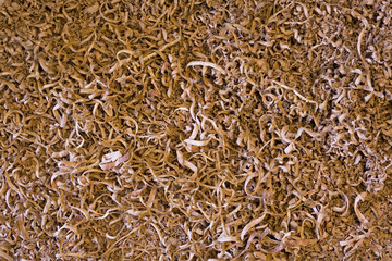 wood shavings