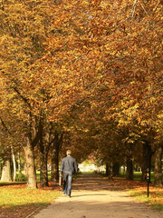 a man walking through the park in autumn