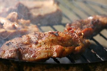 meat on the grill