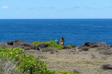 alice au pays des merveilles