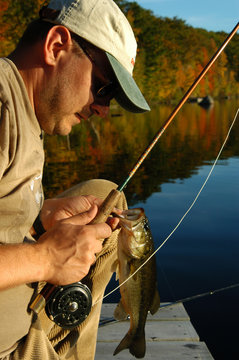 fishing