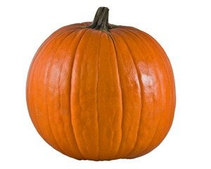 big pumpkin alpha
